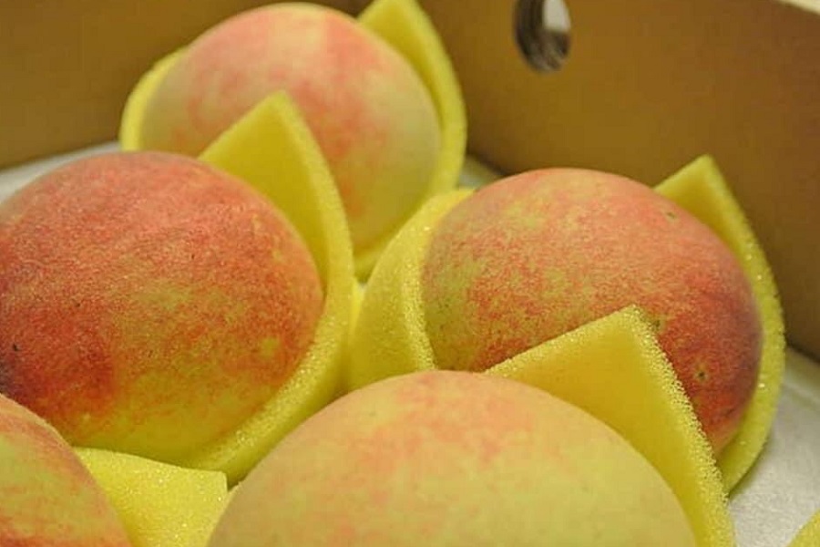 泰崗黃金桃8粒裝(缺貨中)