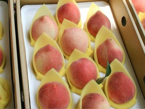 泰崗水蜜桃10粒裝(缺貨中)